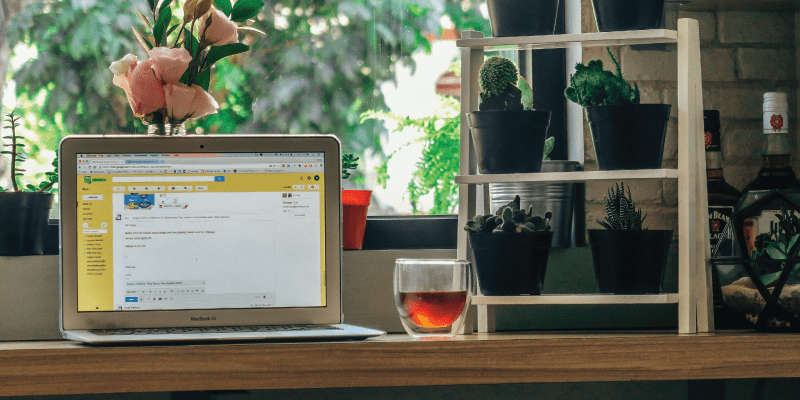 #WebWeds: What's New With Email Marketing in 2019?